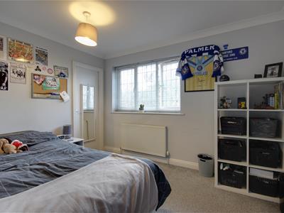 Picture 16